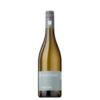 Riesling feinherb VDP.Gutswein - Fürstlich...