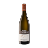 Sauvignon blanc fumé trocken
Divino Nordheim
