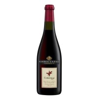 Codarossa Lambrusco Gasparossa frizzante