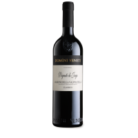 Amarone della Valpolicella Vigneti di Jago - Domini...