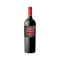 Lagrein Riserva Burgum Novum- Weingut Castelfeder