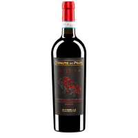 Montepulciano Riserva Tenute del Pojo - Di Camillo Vini