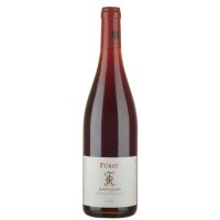 Spätburgunder Tradition trocken - Weingut Rudolf...